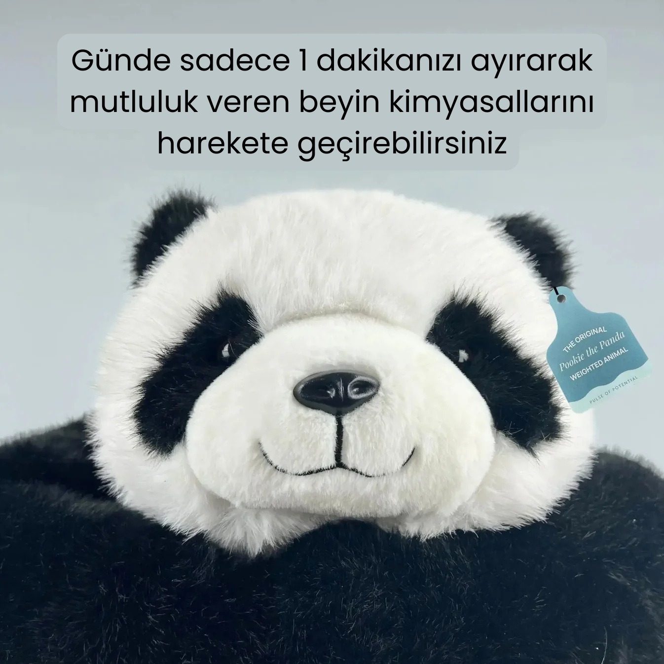 Panda Pookie