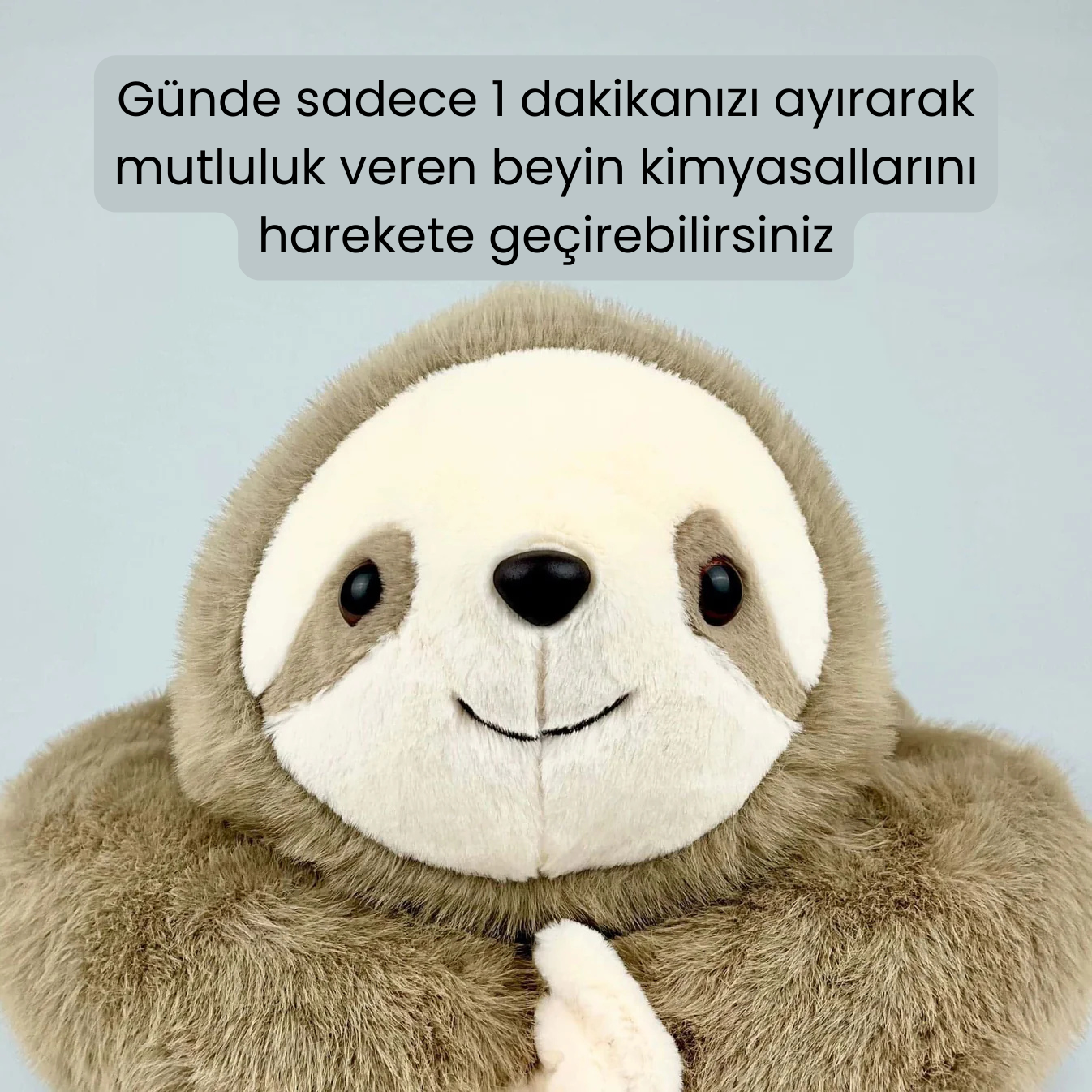 Tembel Sunnie