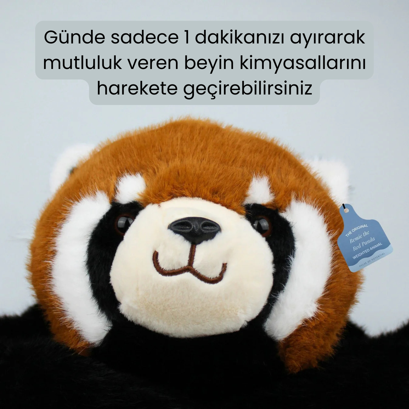 Kırmızı Panda Remie