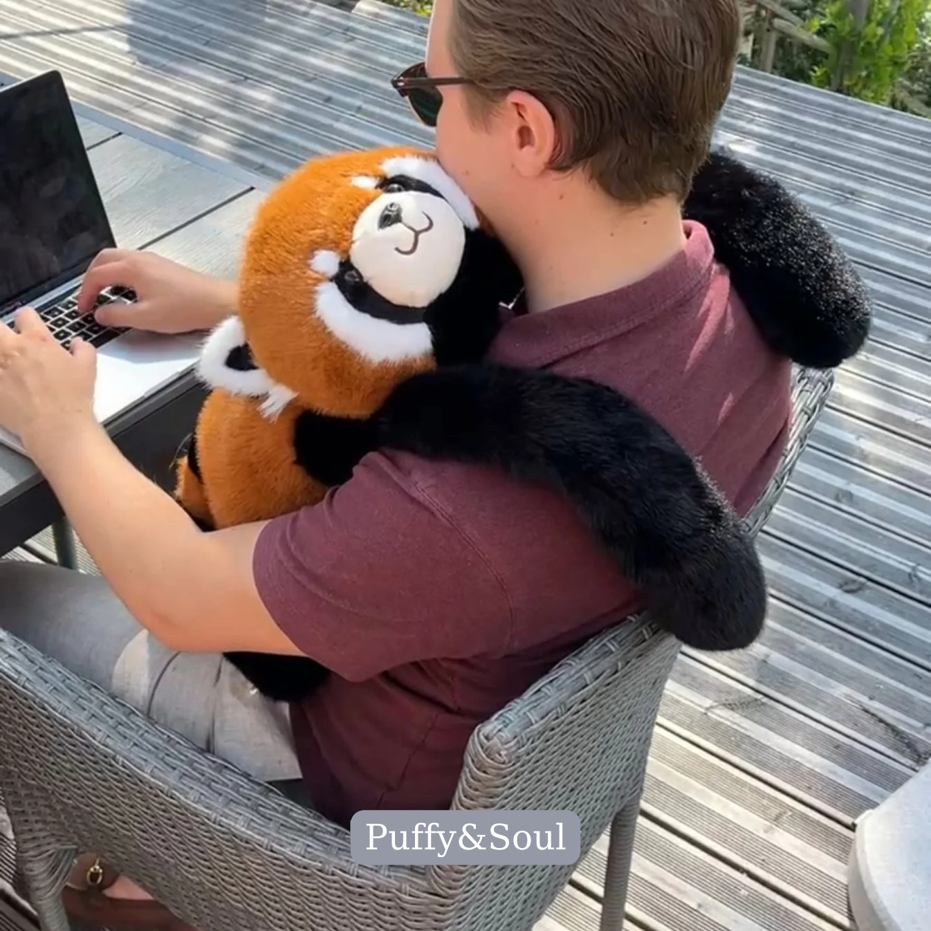 Kırmızı Panda Remie