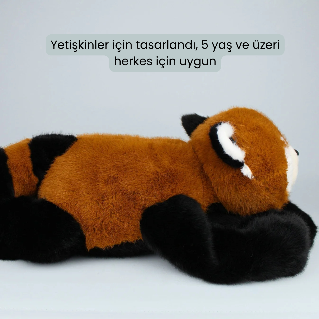 Kırmızı Panda Remie
