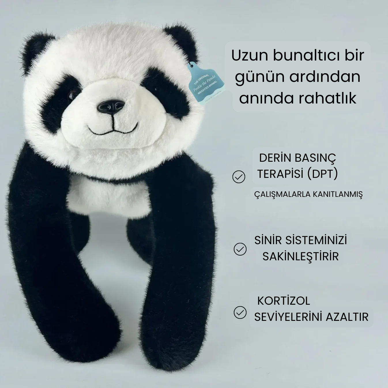 Panda Pookie