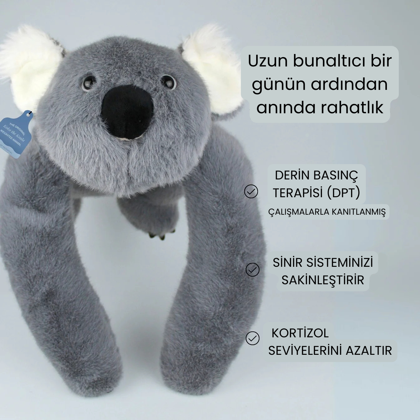 Koko Koala