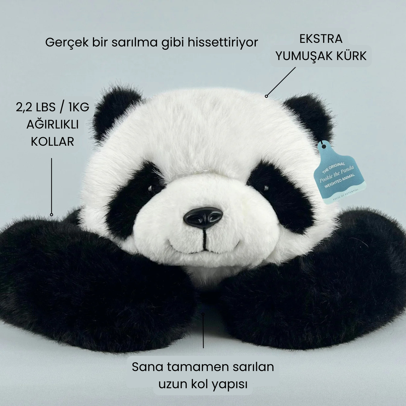 Panda Pookie