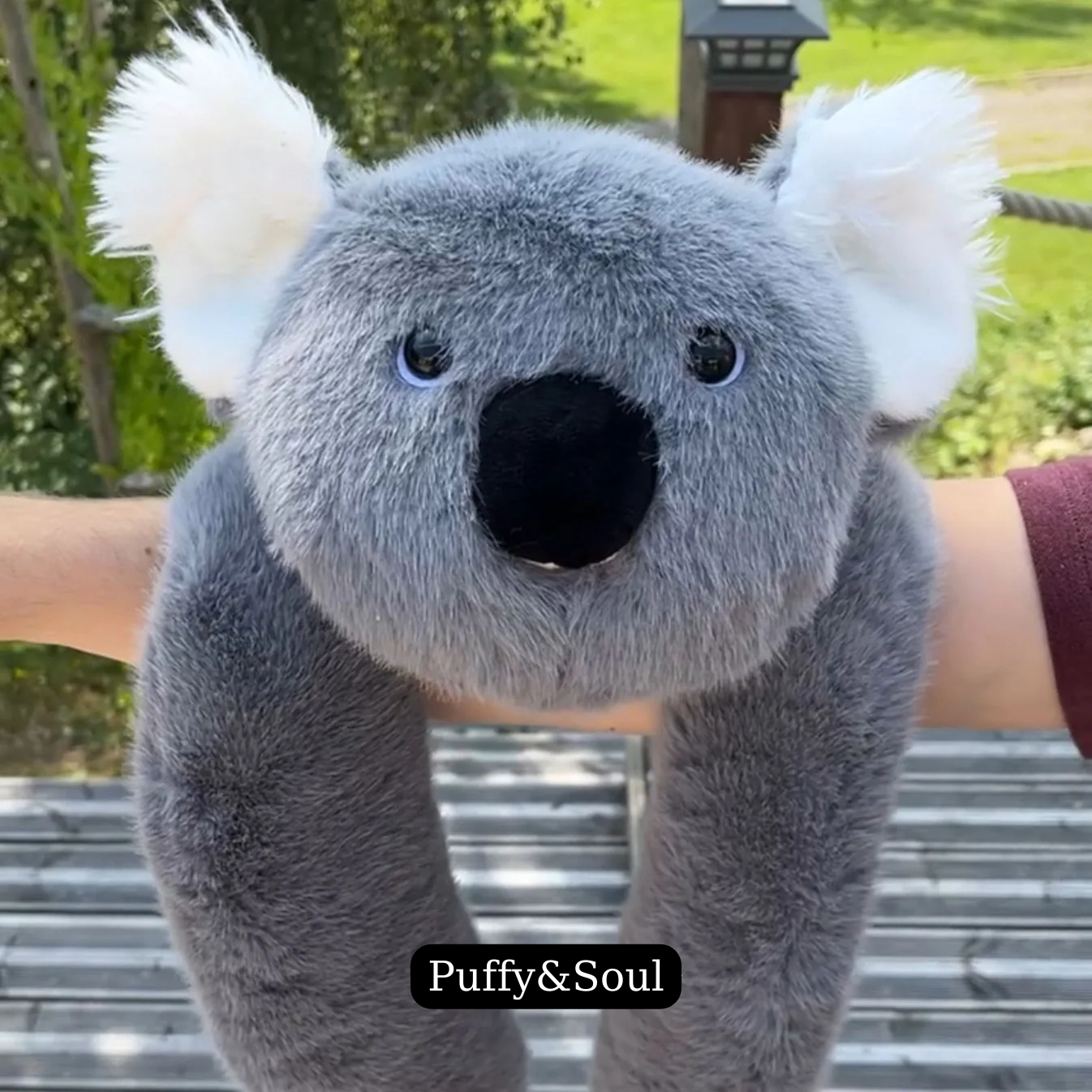 Koko Koala