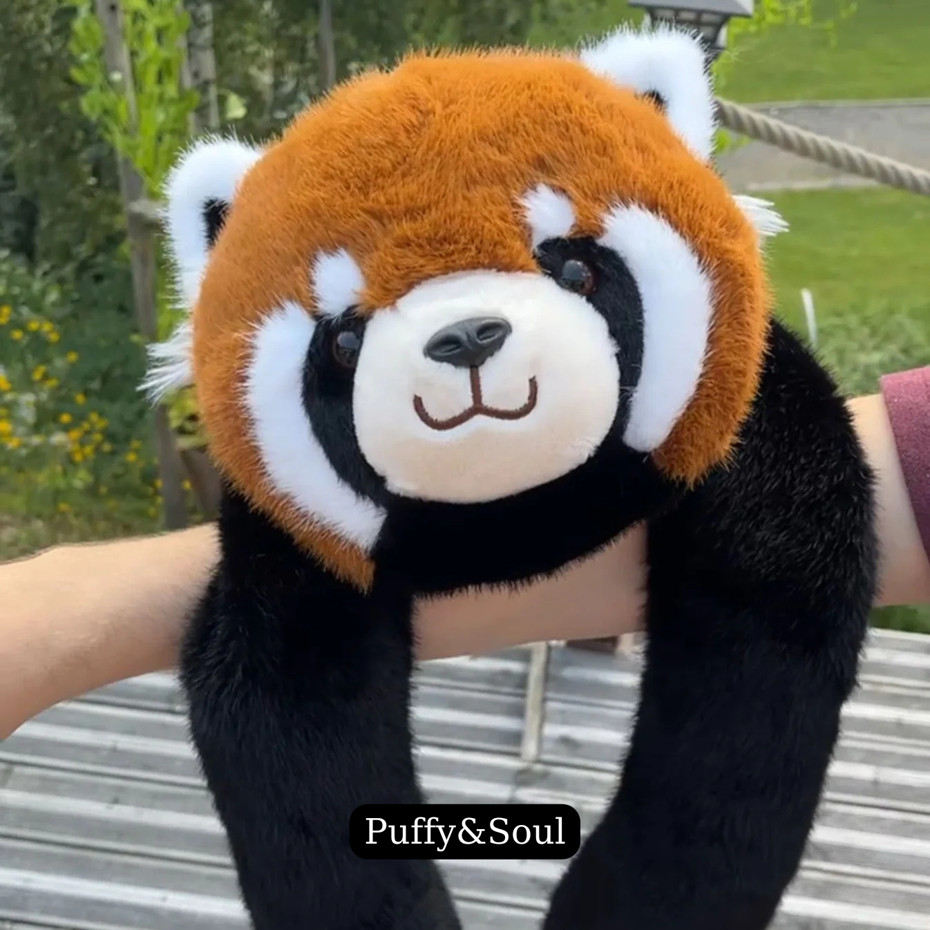 Kırmızı Panda Remie