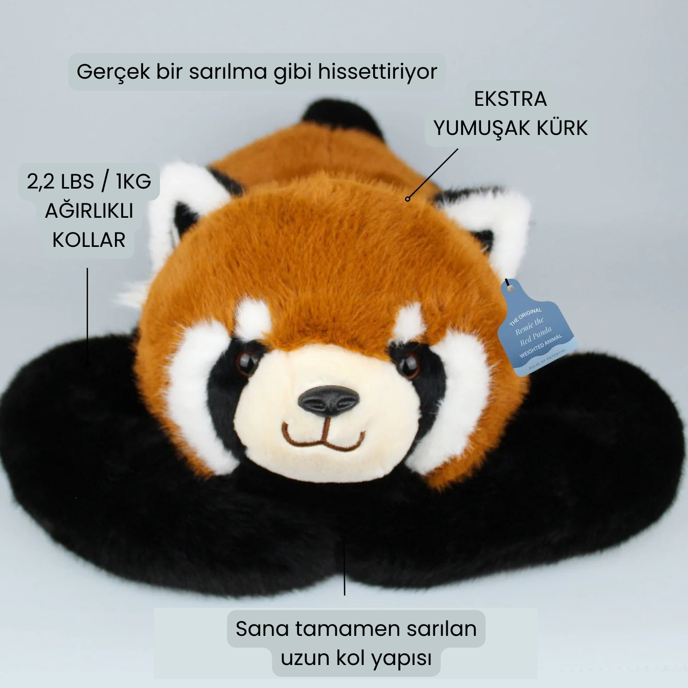 Kırmızı Panda Remie