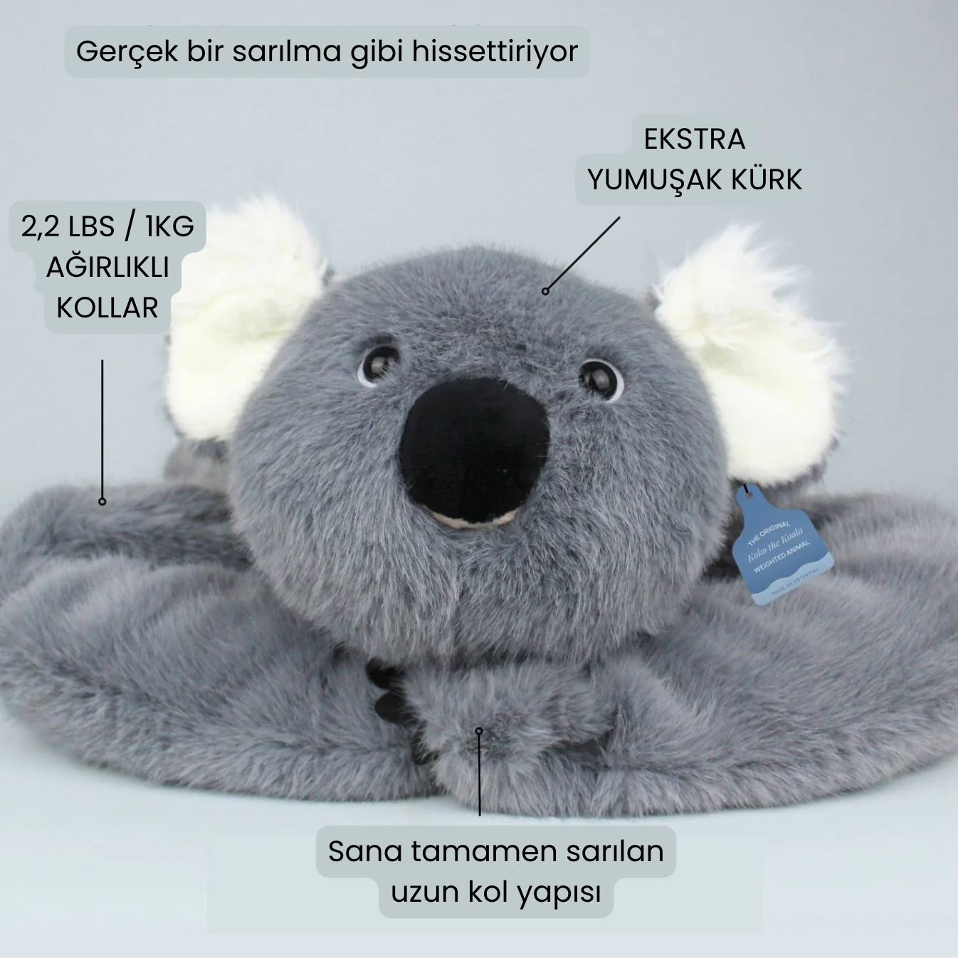 Koko Koala