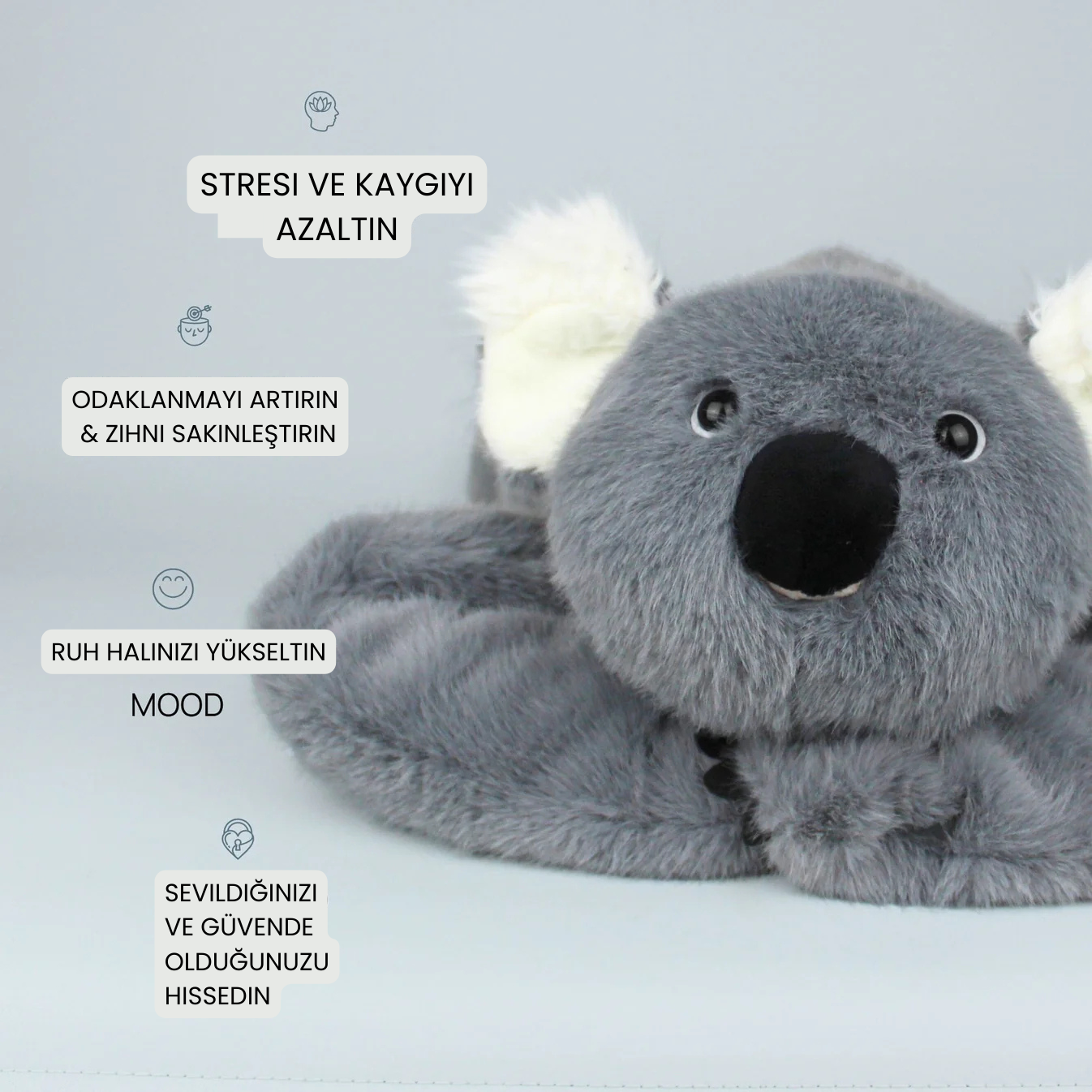 Koko Koala