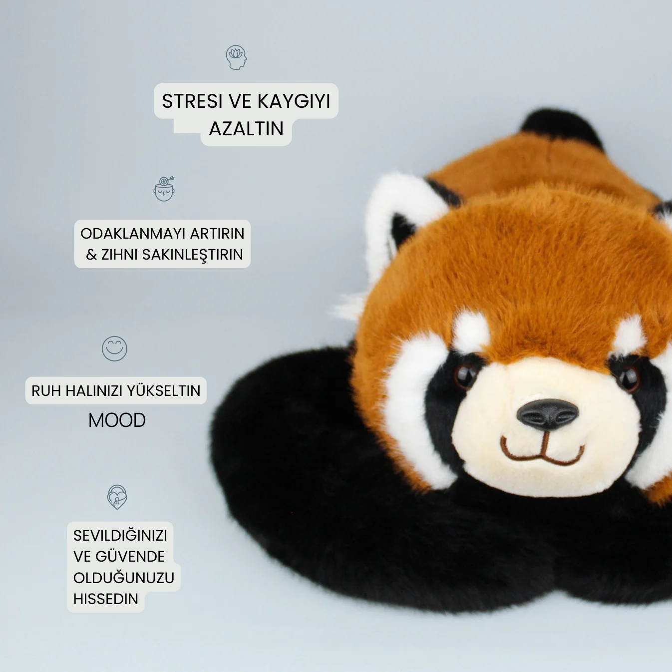 Kırmızı Panda Remie